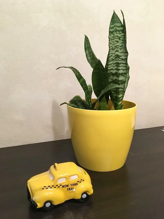 Sunflower Apartment Near Kiev Airport & Railway Station & Center City!